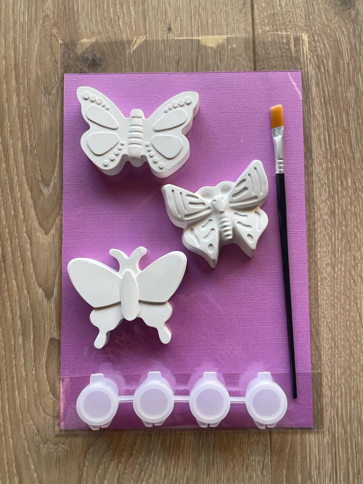Butterfly plaster paint kit
